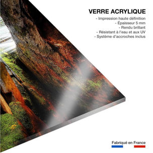 Tableau nature chute d'eau Tableau plexiglas