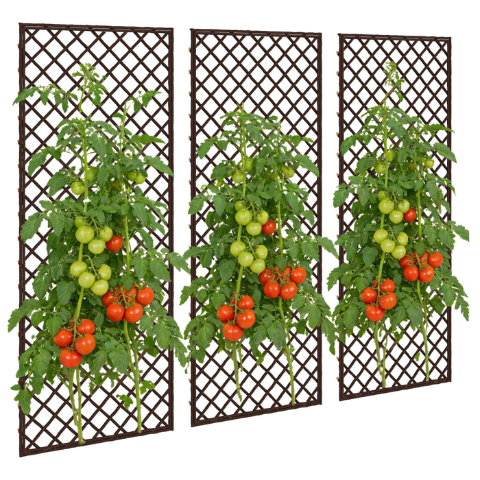 Juego de 3 Enrejados de Jardín de Mimbre, Soportes para Plantas Trepadoras con Parte Superior Plana, para Frutas, Verduras, Flores, Decoración Exterior para Patio, 43x112 cm, Madera Natural