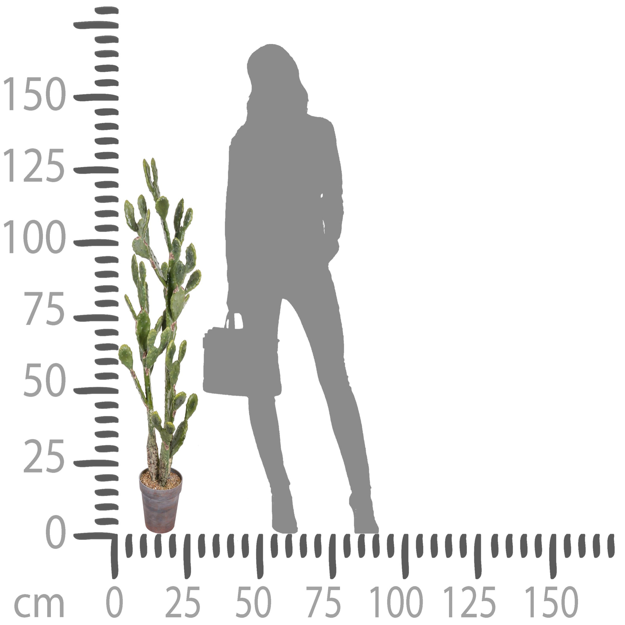 Cactus Opunthia Con Vaso. Altezza 130 Cm - Pezzi 1 - 40X130X40cm - Colore: Altro - Bianchi Dino - Piante Artificiali