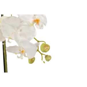 Orquidea Poliester Blanca Con Maceta 45x45x86 Cm