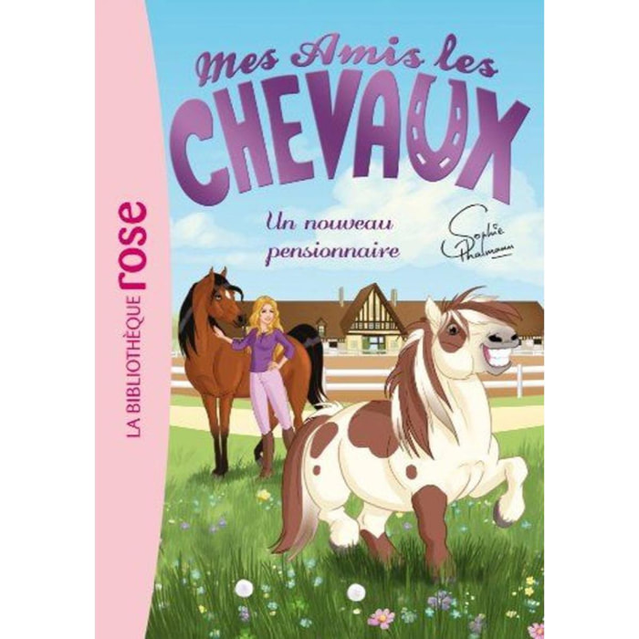 Livre, Hachette | Mes amis les chevaux, tome 1 : Un nouveau pensionnaire | Livre d'occasion
