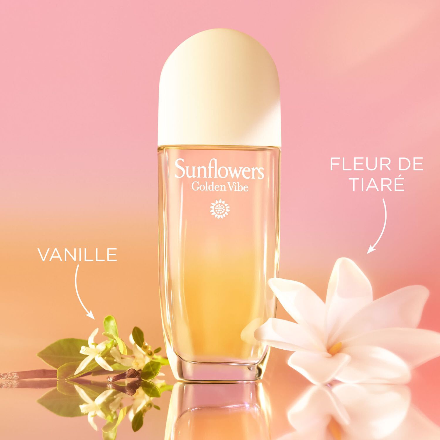 Sunflowers Golden Vibe - Eau de Toilette 100 ml
