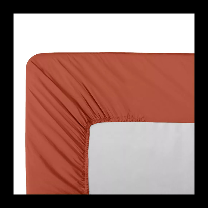 Drap housse b46 percale de coton uni orange Olana rouille