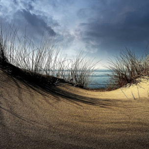 Tableau dunes secrètes Toile imprimée