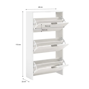 Zapatero de 3 puertas abatibles en blanco artik 60x113 cm Remi Blanco Artik (Blanco Mate)