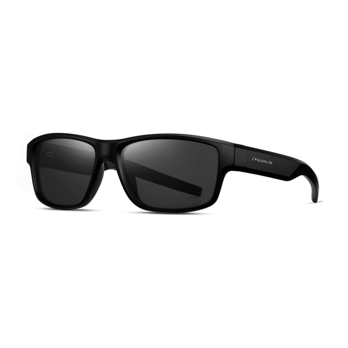 Gafas de sol PALO ALTO SANDBOARD - Negro mate / Polarizada ahumada