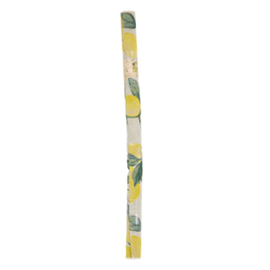Tapis d'extérieur Kepa 300x200cm motif citrons