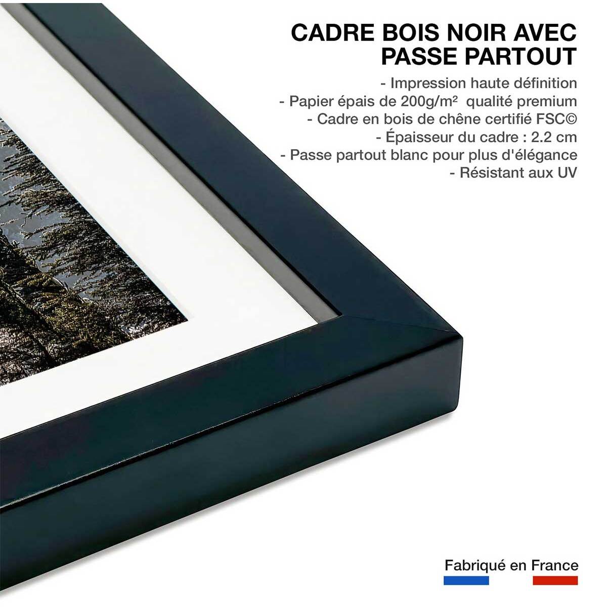 Affiche paysage forest in fog drama Affiche sous cadre noir