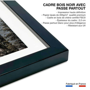 Affiche paysage forest in fog drama Affiche sous cadre noir