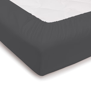 Lenzuolo sotto con angoli tinta unita antracite