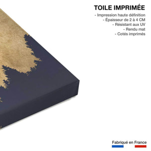 Tableau crepuscule doré Toile imprimée