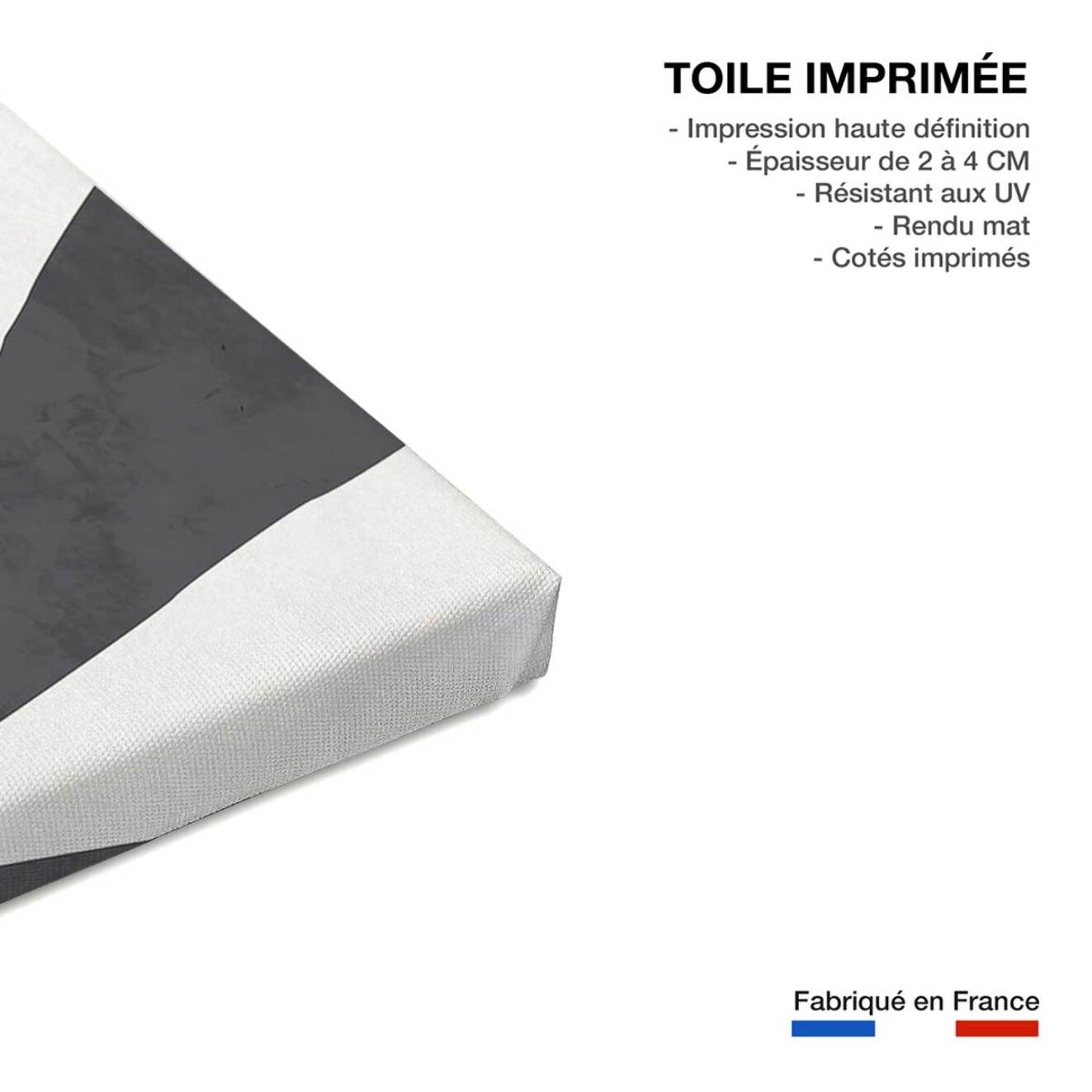 Tableau organique archive  Toile imprimée