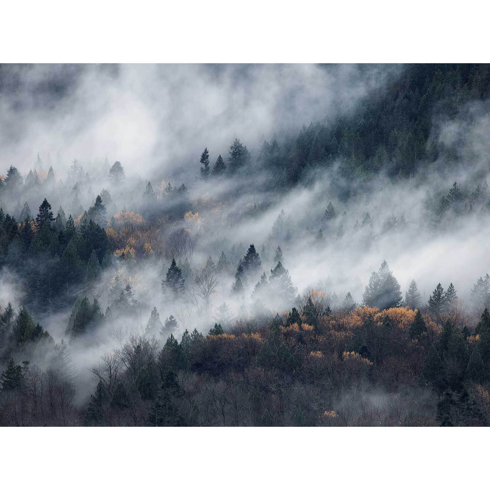 Papier peint un chemin du brouillard Intissé