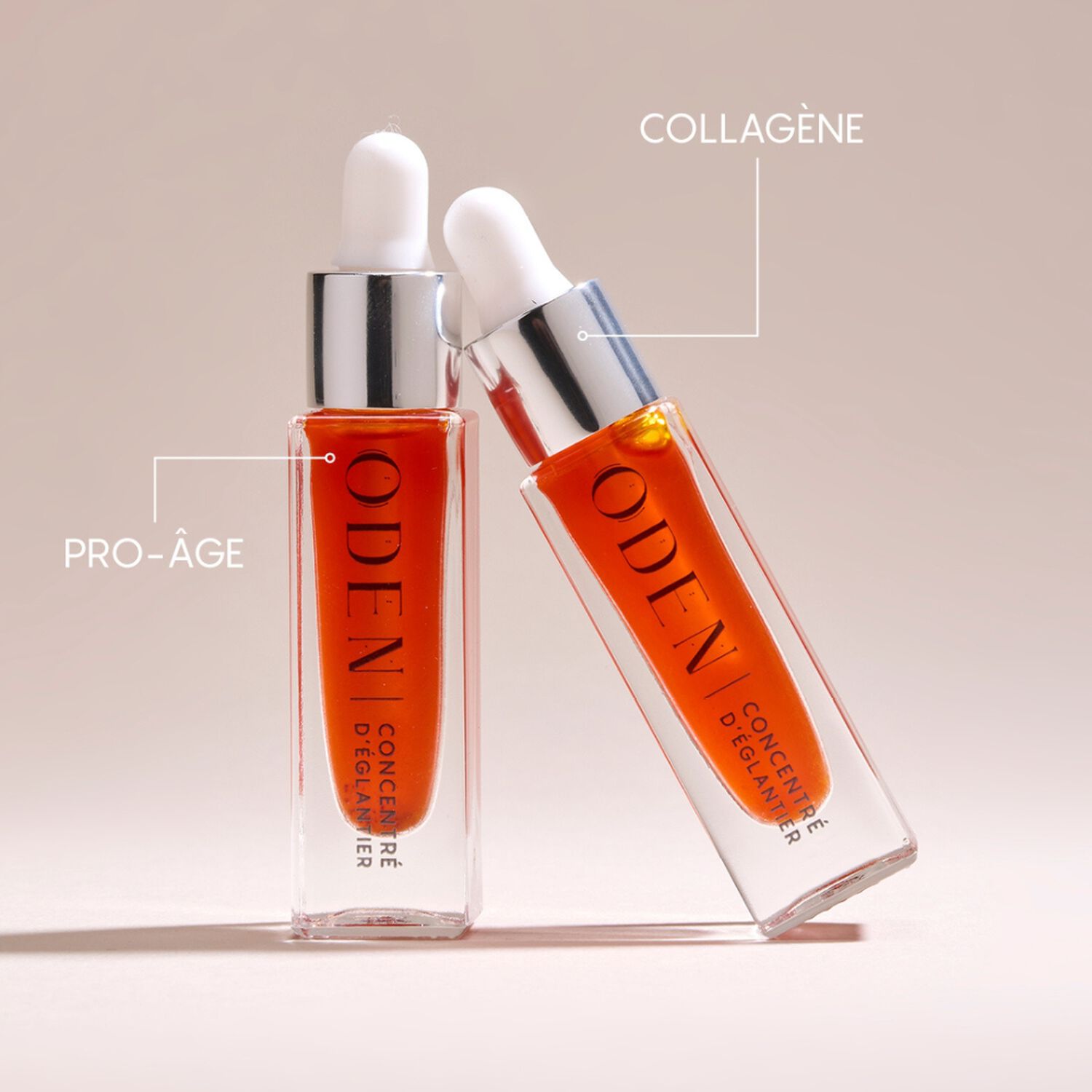 Concentré d'Eglantier - Eglantier et Lupin