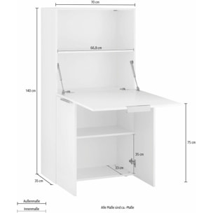 Scrivania Dcambiagh, Mobile multiuso con scaffali e piano da lavoro, Tavolo multiuso per ufficio, Scrivania salvaspazio multi posizione, 100% Made in Italy, cm 70x35h140, Bianco e Ardesia