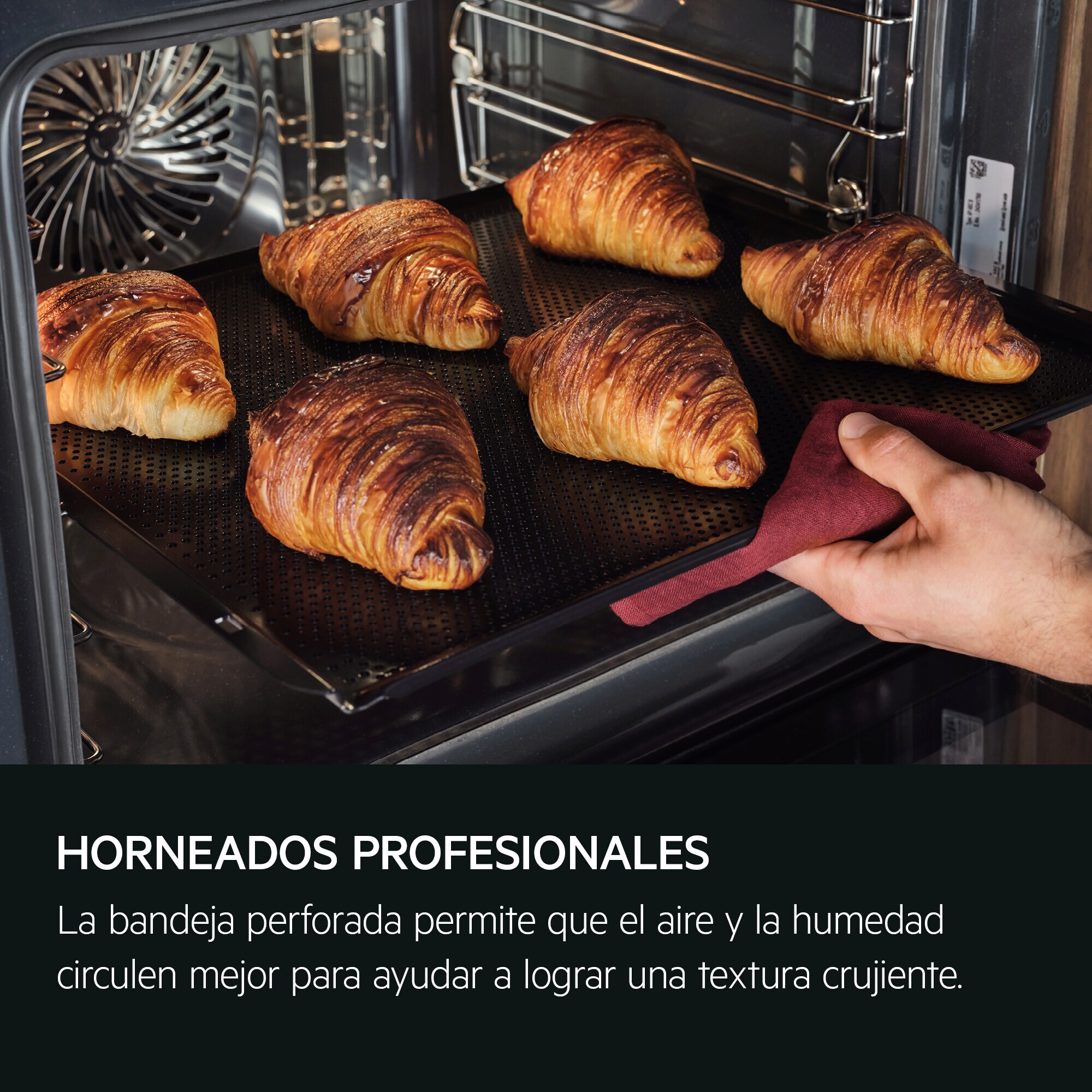 AEG Horno compacto de vapor Serie 9000 ProAssist con SteamPro con Display CookSmart Touch+ 7,8 '', con WiFi TP9SK821B