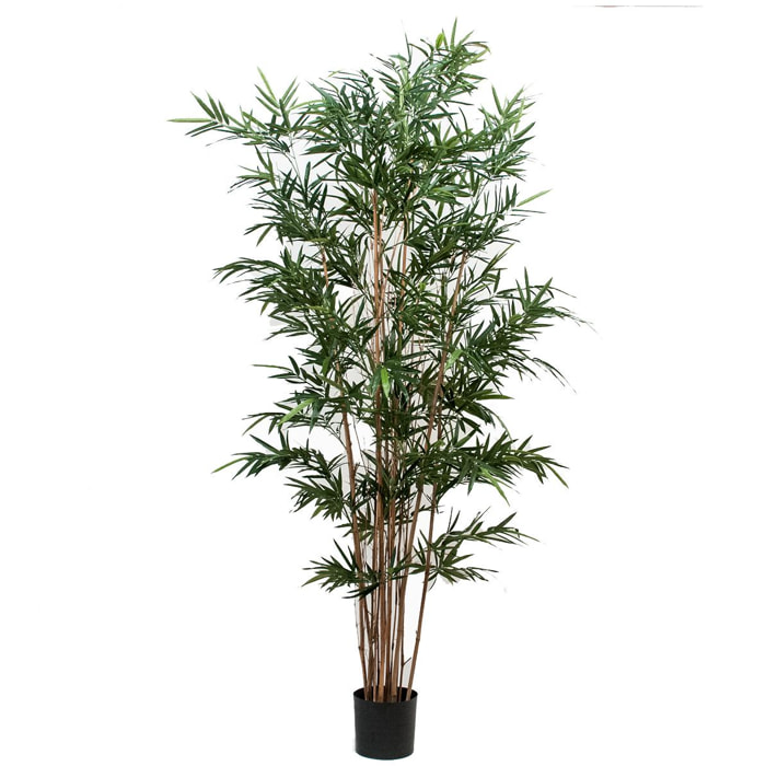 Bamboo Royal A 7 Diramazioni Con Vaso. Altezza 210 Cm - Pezzi 1 - 115X210X115cm - Colore: Verde - Bianchi Dino - Piante Artificiali