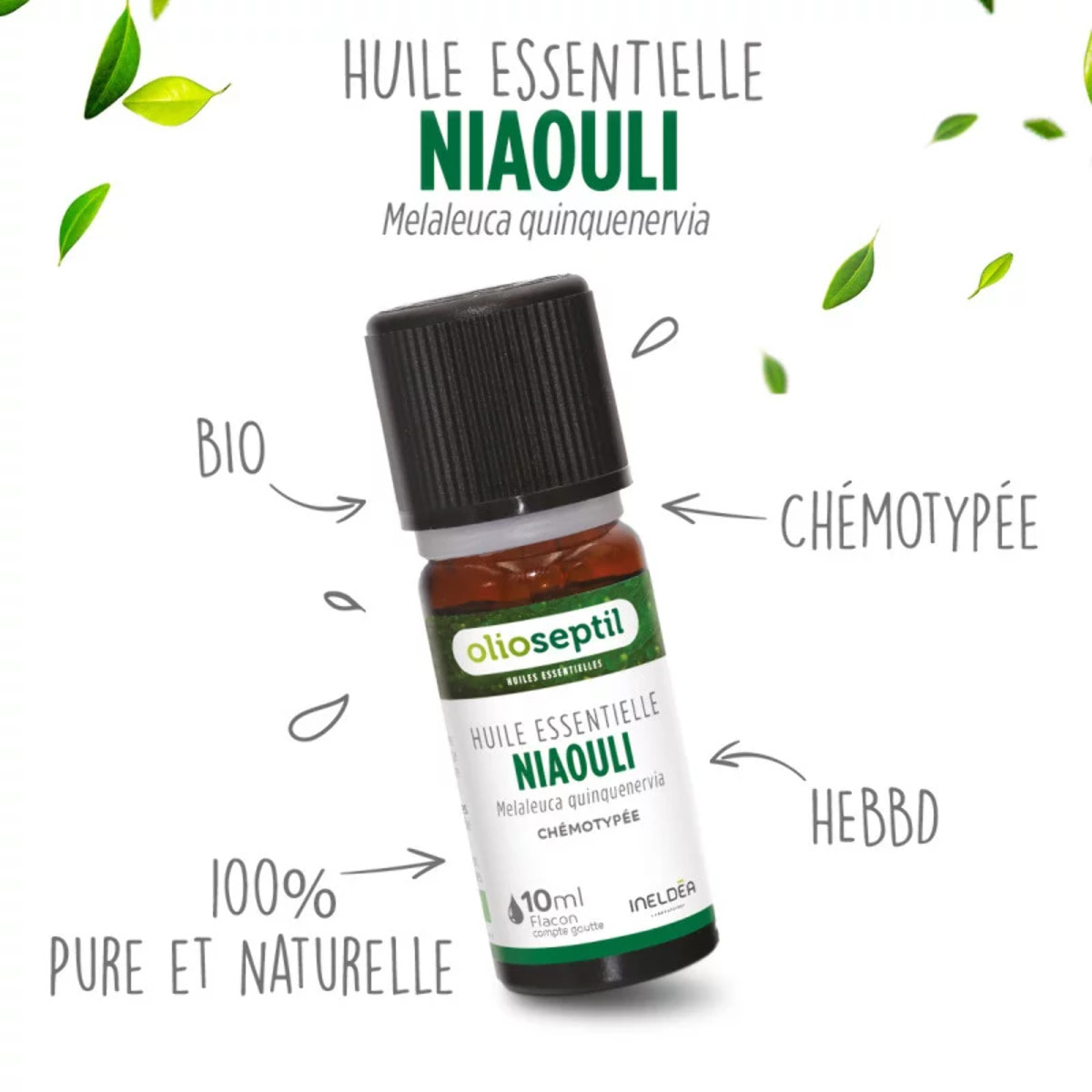 OLIOSEPTIL - Huile essentielle de Niaouli - 100% Pure et naturelle - BIO - HEBBD (biochimiquement et botaniquement définie) - 100% origine naturelle - 3 Flacons 10ml