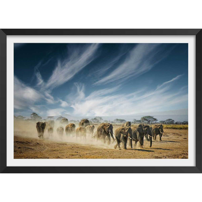 Affiche animaux éléphantfamily Affiche + cadre en bois - Noir