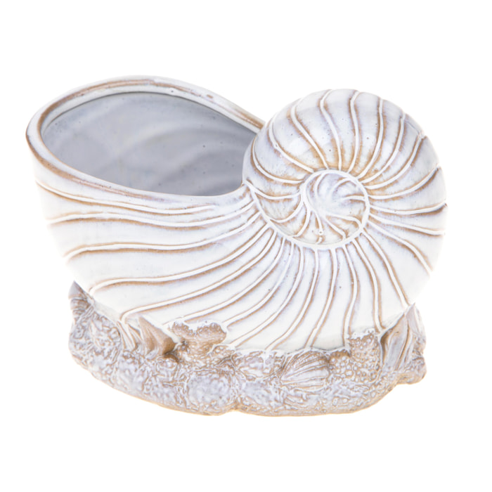 Vaso Conchiglia Con Base D.20Xh.14 Cm - Pezzi 2 - 19X14X13cm - Colore: Bianco - Bianchi Dino - Decori Casa E Complementi