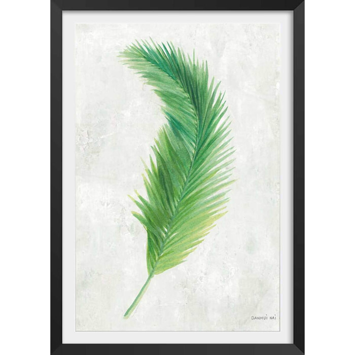 Affiche palme tropicale illustrée Affiche sous cadre noir