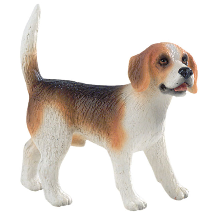 Animali di Casa/Beagle