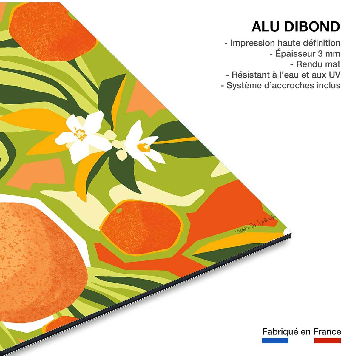 Tableau bel oranger Tableau alu Dibond