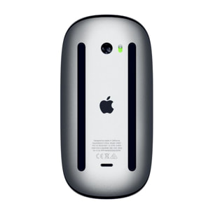 Souris sans fil APPLE Magic Mouse Surface Multi Touch Noir