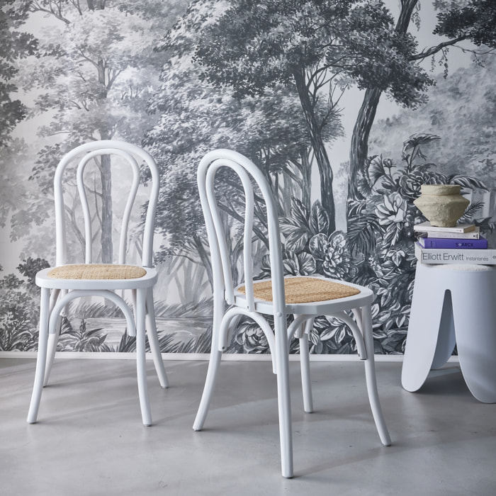 Chaise vintage bois et rotin (lot de 2) BASTILLE