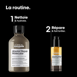 Serie Expert Absolut Repair Molecular - Coffret Shampooing 300ml + Huile Bi-Phase Absolut Repair Molecular 90ml
