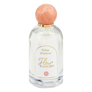 Spray d'ambiance "Wild romance" 100ml