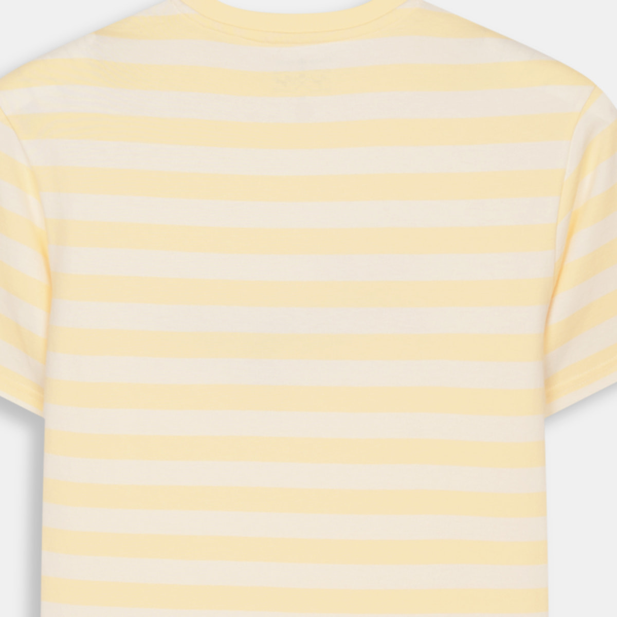 CAMISETA REGATTA CHORD
