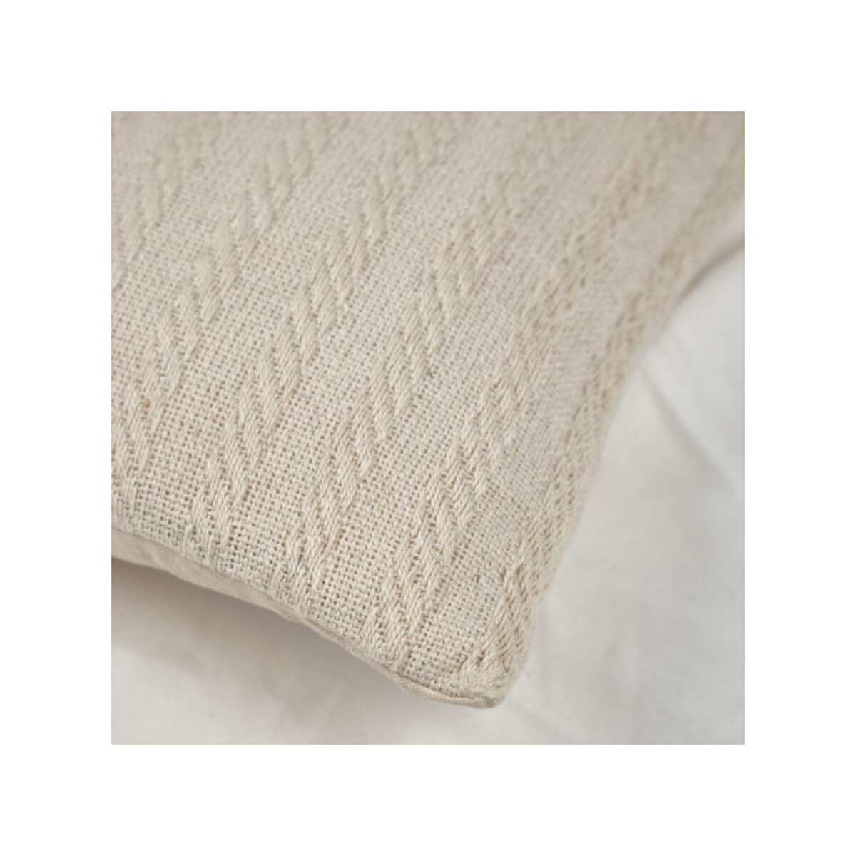 Lot de 2 coussins 40 x 40 cm en coton brodés beige - PLUME