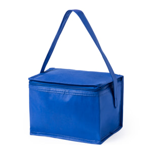 DAM Hertum nevera portátil para 6 latas, con interior isotermo acabado en aluminio. 21x15x15 Cm. Color: Azul