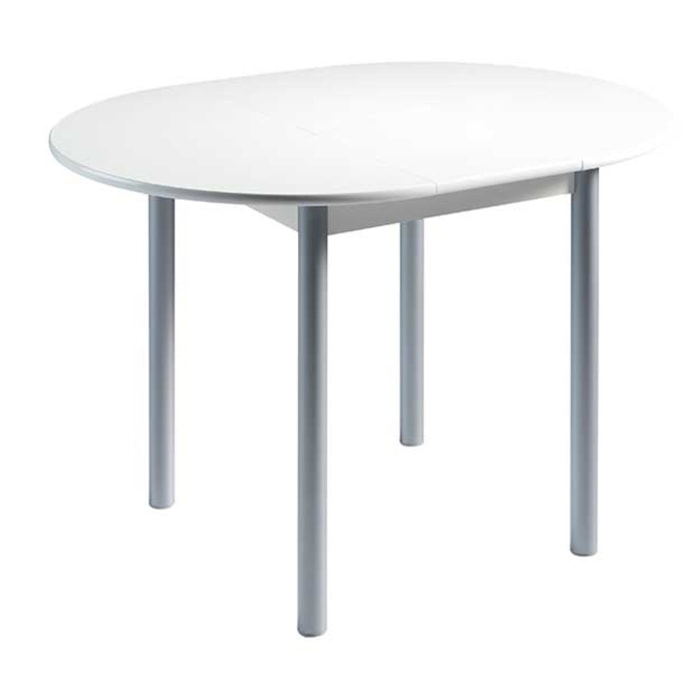 Mesa extensible circular