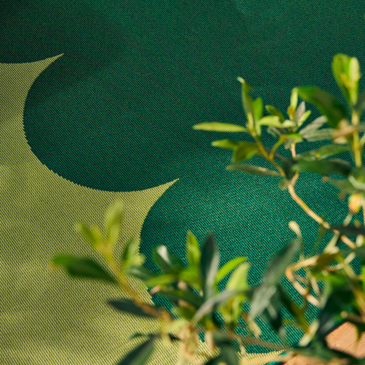 RIVIERA - Tapis intérieur/extérieur à motif festonné vert