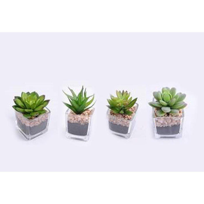 Mini Succulent Con Pot Vetro 10 Cm - Pezzi 12 - 6,5X10X5,5cm - Colore: Multicolore - Bianchi Dino - Piante Artificiali