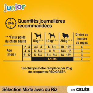 PEDIGREE Box pour chiot: 2 sachets de Friandises + Repas en gelée (24x100g)