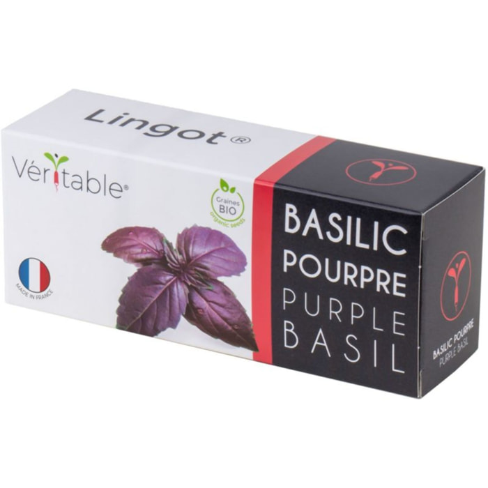 Recharge jardin d'intérieur VERITABLE Basilic Pourpre BIO