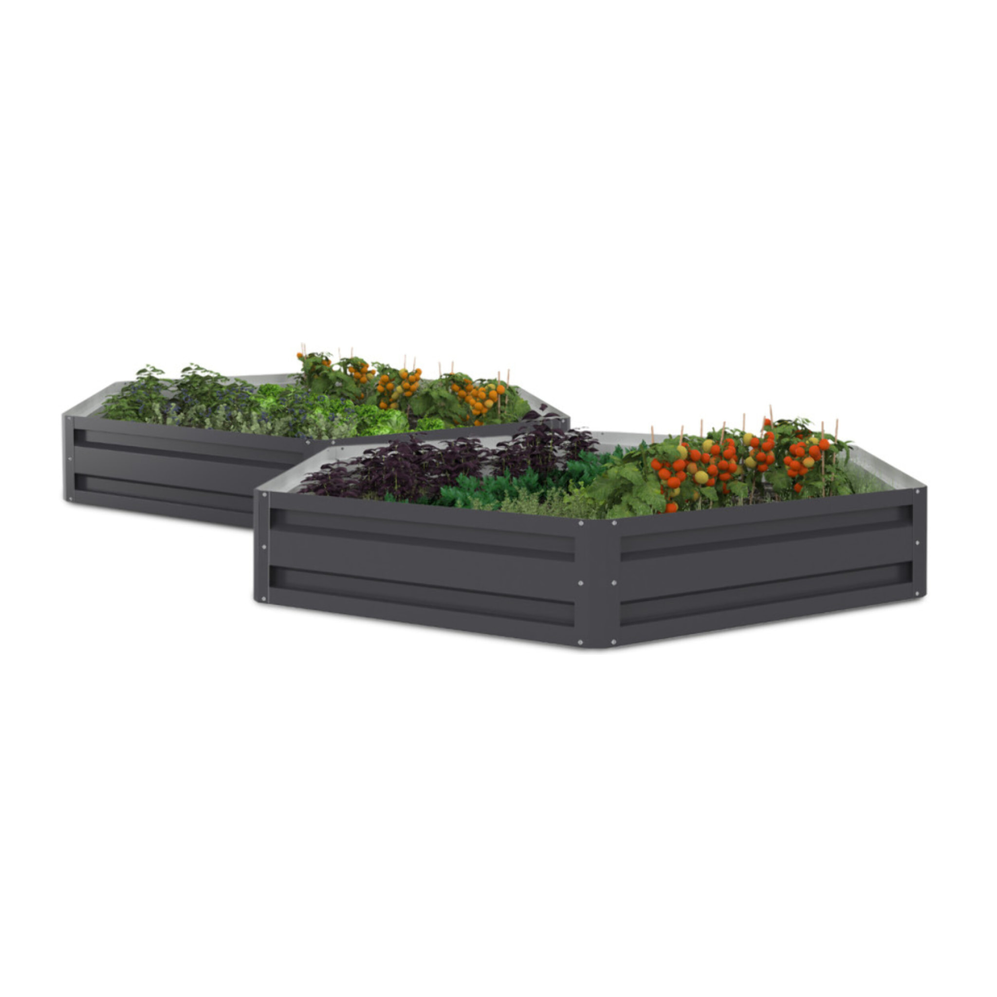 Carrés de potager hexagonaux en métal 120cm - lot de 2
