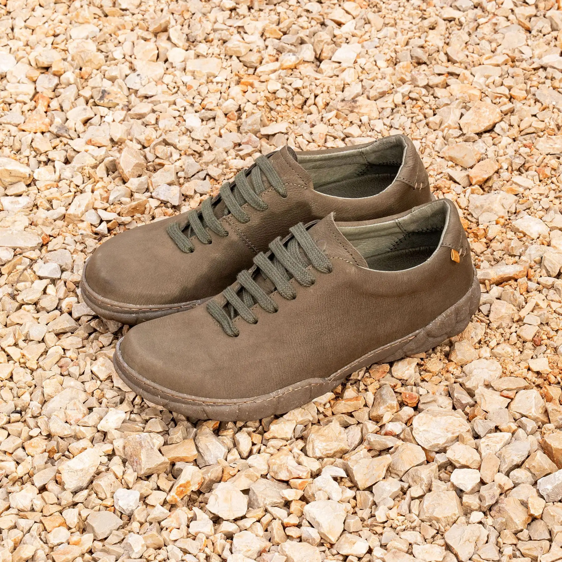 Zapatos N5616 PLEASANT WOOD / TURTLE color Wood