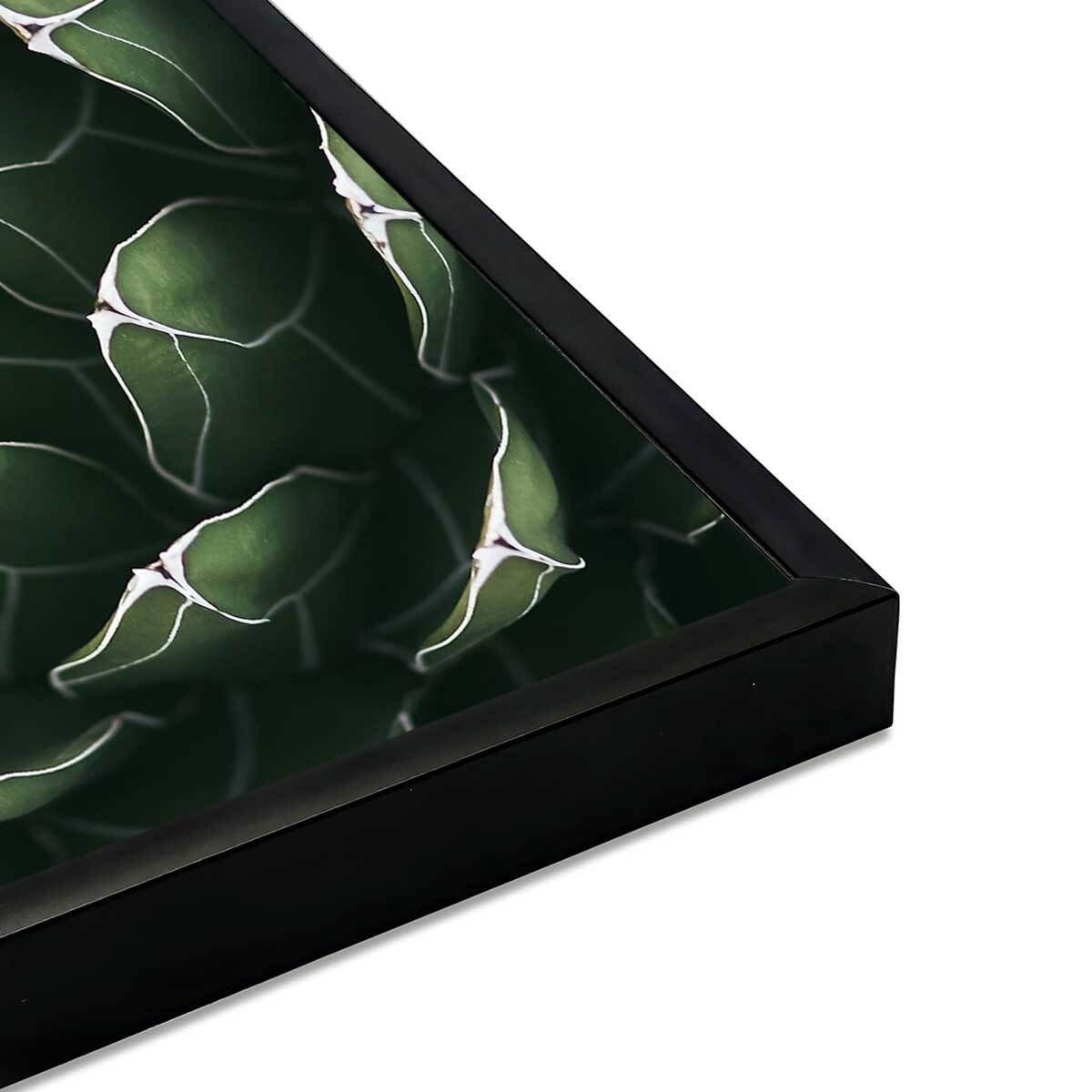 Affiche encadrée plante succulente graphique Affiche + cadre en métal - Noir