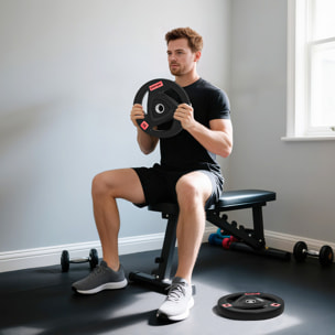 Discos Pesas Olímpicos 15 kg, Agujero Ø50 mm, de Hierro Fundido, Recubierta de Goma, 2 Placas de Pesas con Triple Agarre, para Mancuernas y Barras, Entrenamiento en Casa, Gimnasio, Negro