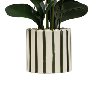 Fleur Artificielle Asia Orchidée H81 cm Pot en Grès Vert