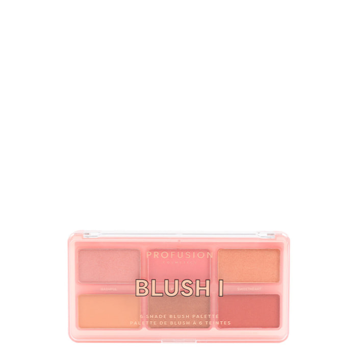 Palette Blush I - Teint 6 Couleurs 108 g