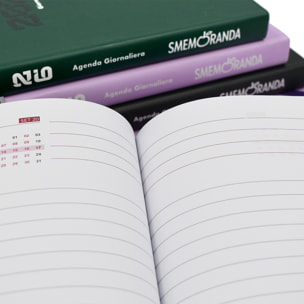 Agenda Smemoranda Everyday 2026 Giornaliera 12 mesi , B6, verde