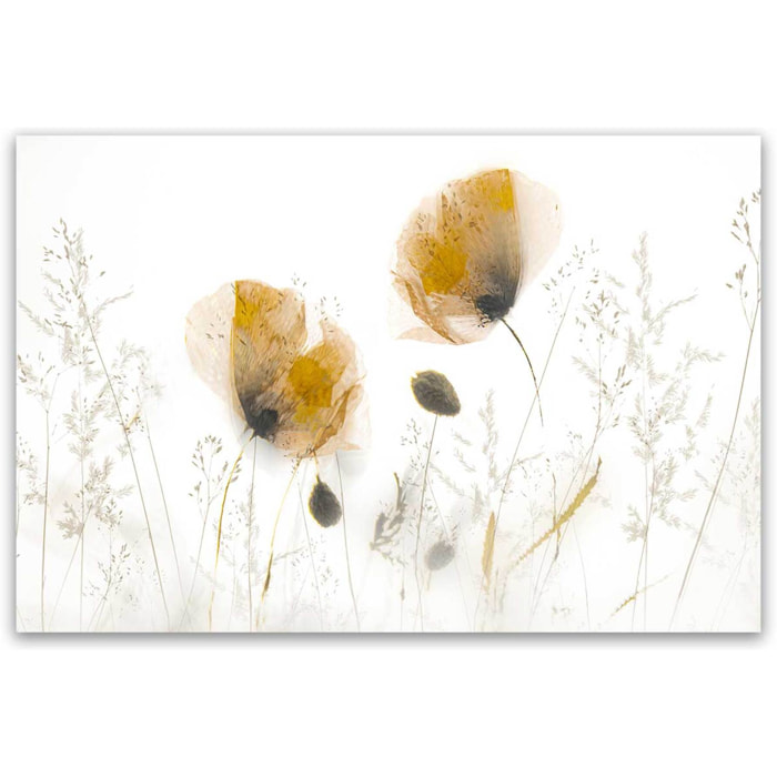 Tableau fleurs Subtilité Tableau alu Dibond