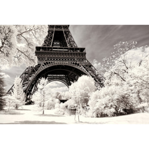 Tableau paris winter white la tour eiffel Tableau plexiglas