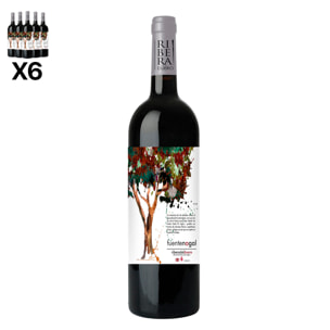 Caja de 6 botellas de vino Fuente Nogal Roble. Ribera del Duero, crianza de 4 meses en barrica de roble americano. Vendimia del 2023. 75cl con 14,5% vol.