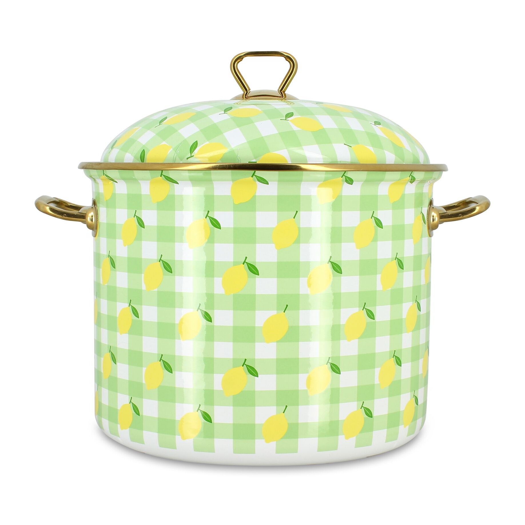 Marmite 24cm en acier émaillé avec motif citron - tous feux VICHY